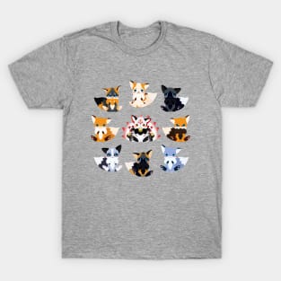 A the foxes T-Shirt